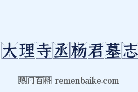 大理寺丞杨君墓志是什么意思的图片